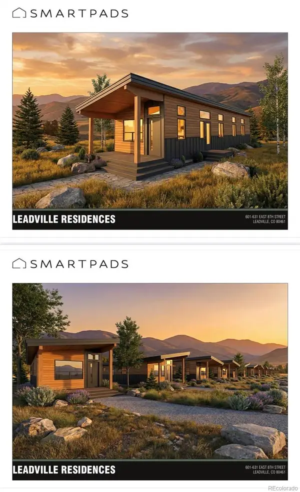 613 E 8th Street, Leadville, CO 80461