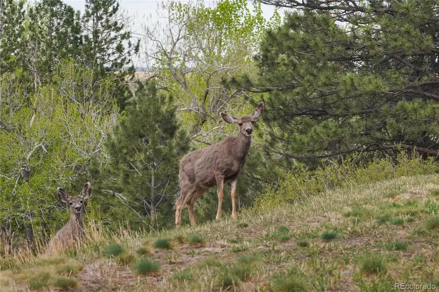 8664 Middle Fork, Boulder, CO 80302 - #3