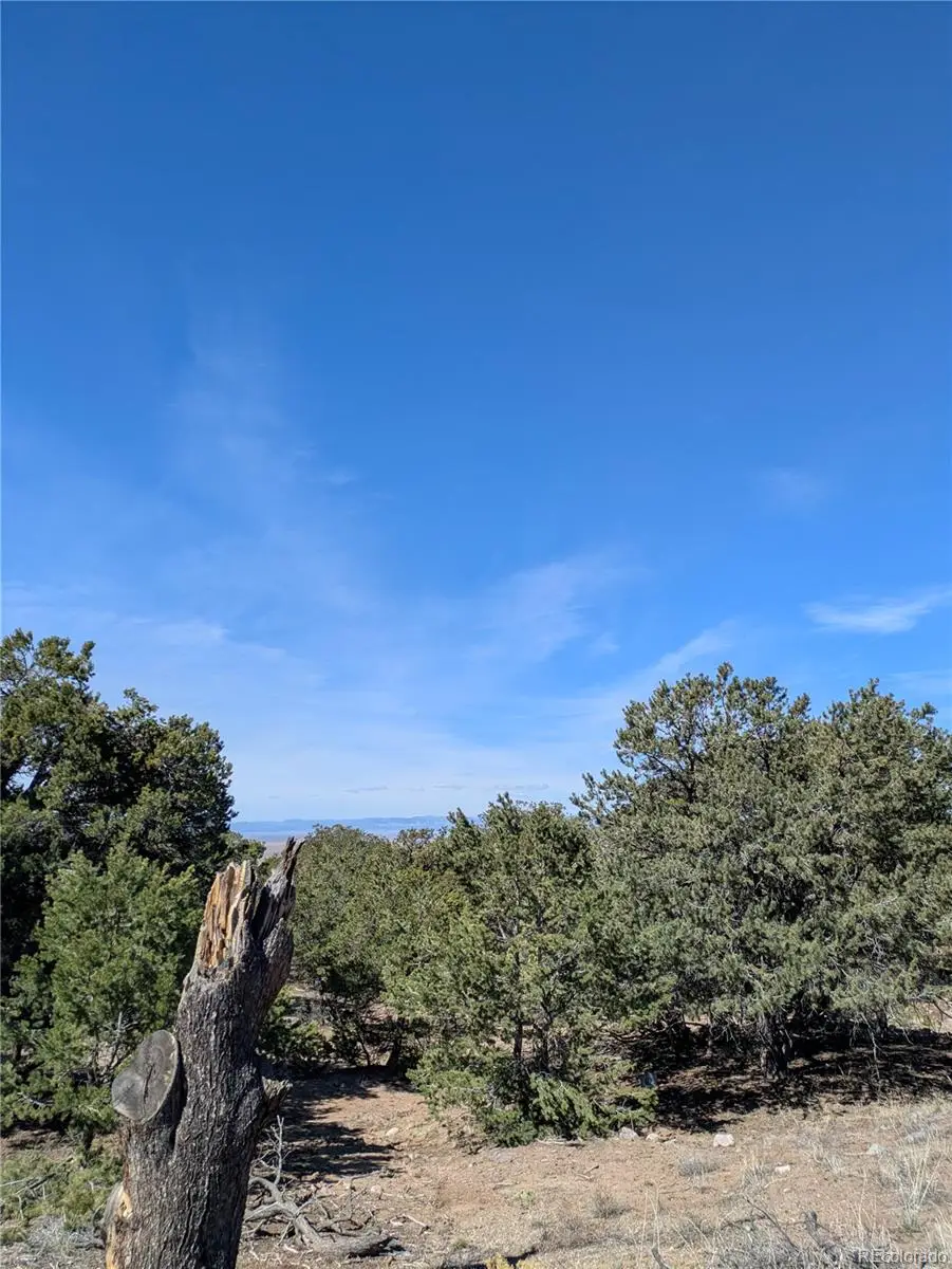 606 Peaceful Overlook, Crestone, CO 81131 - #1