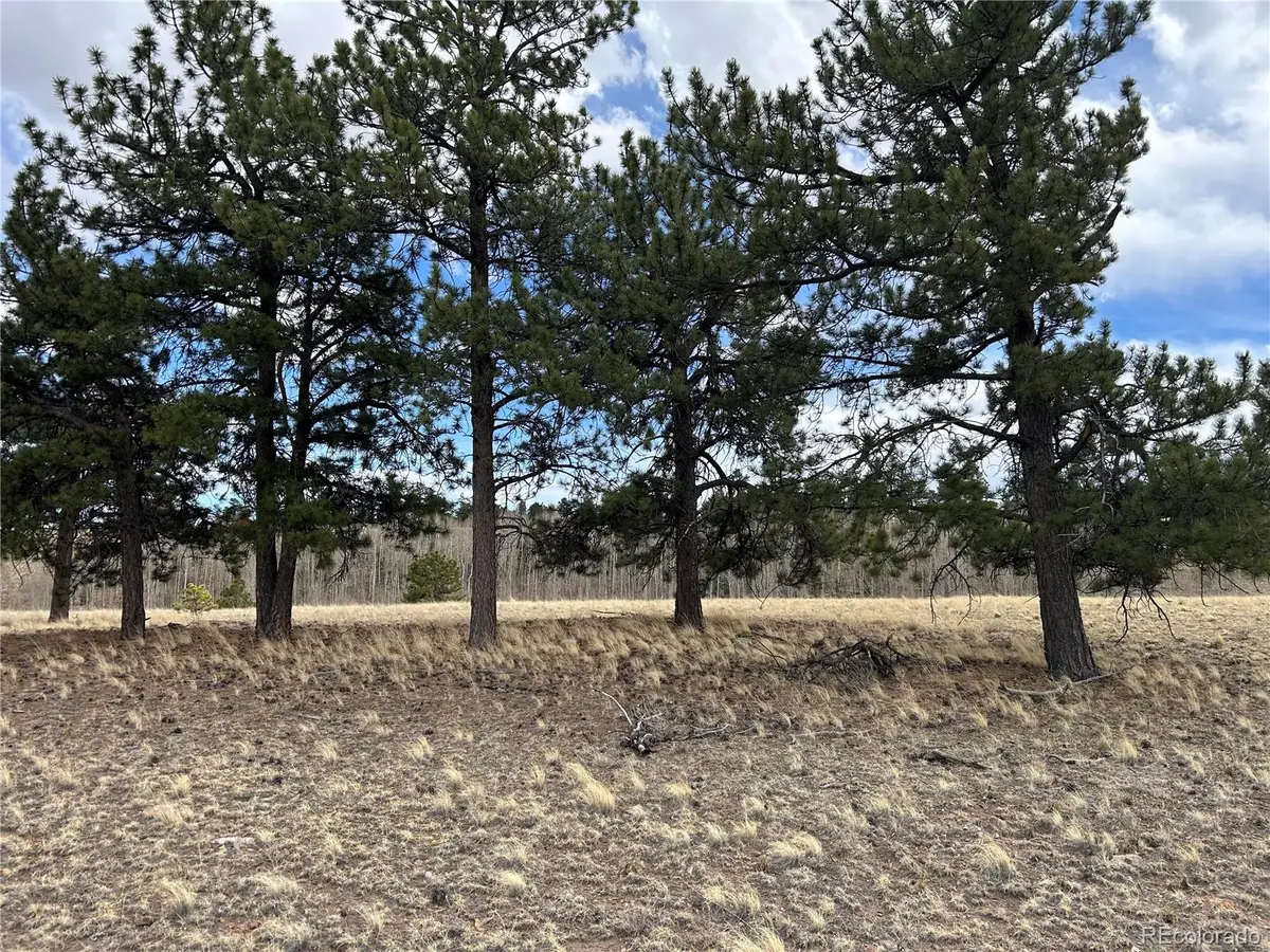 304 Brahma Circle, Hartsel, CO 80449 - #1