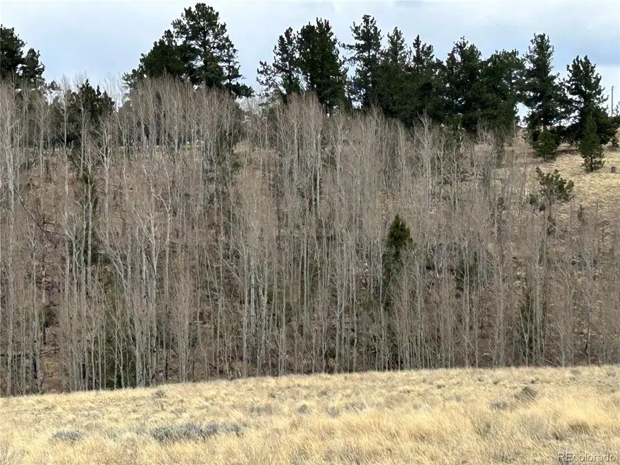 304 Brahma Circle, Hartsel, CO 80449 - #2