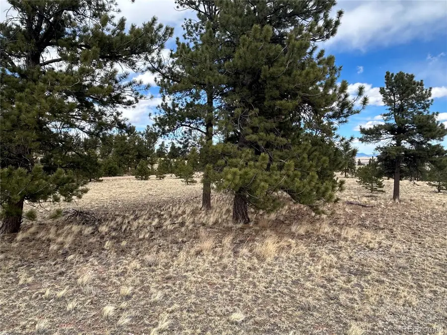 304 Brahma Circle, Hartsel, CO 80449 - #3