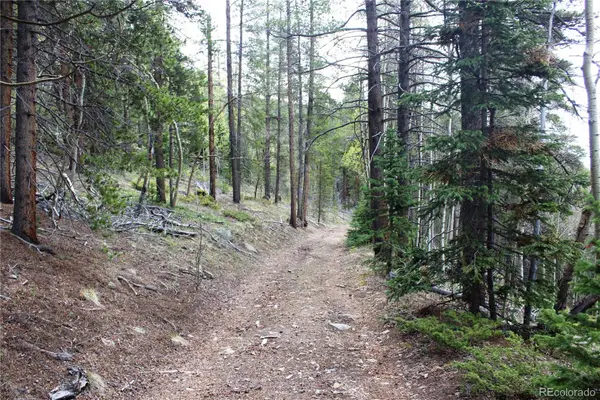 00 Broomfield Gulch Road, Black Hawk, CO 80422