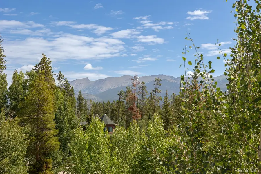 372 Lake Trail, Winter Park, CO 80482 - Image #3