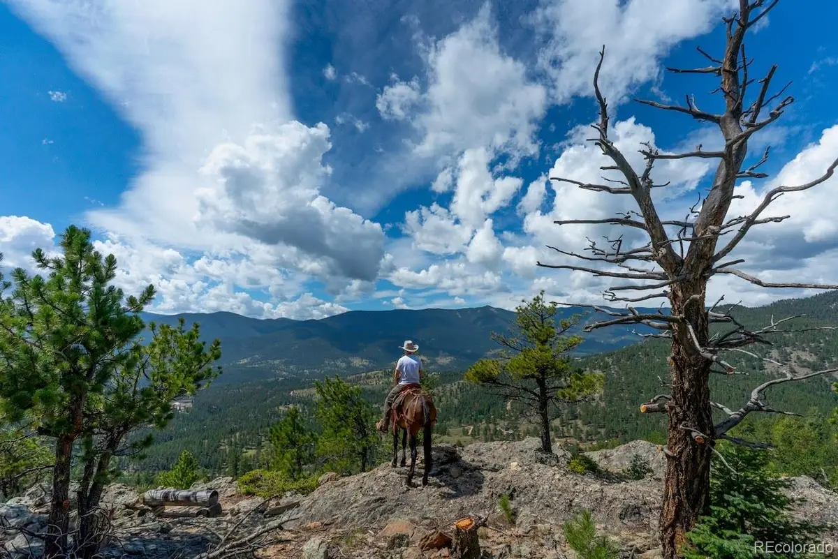 150 Summit Drive, Bailey, CO 80421 - #1
