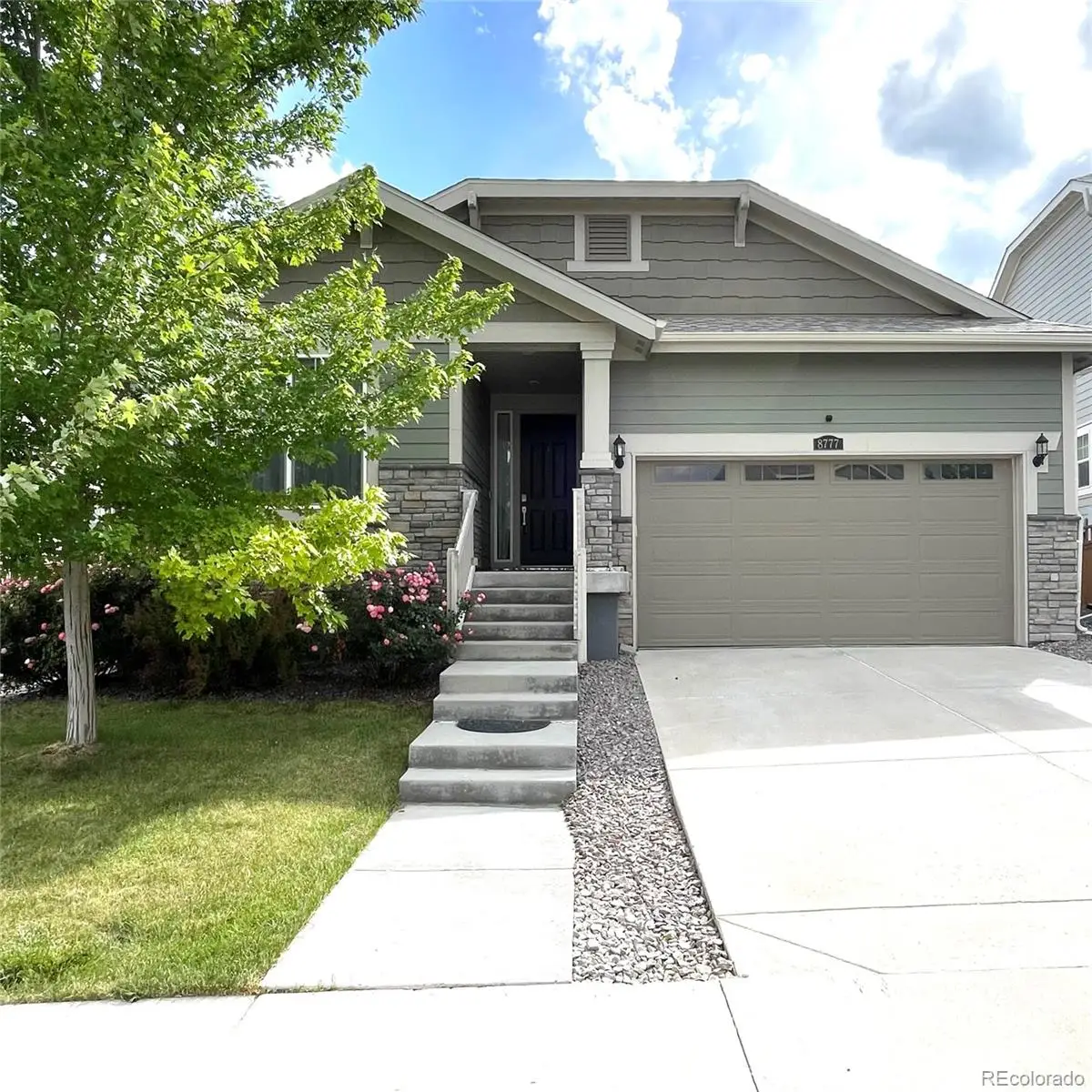 8777 Ginkgo Loop, Parker, CO 80134 - #1