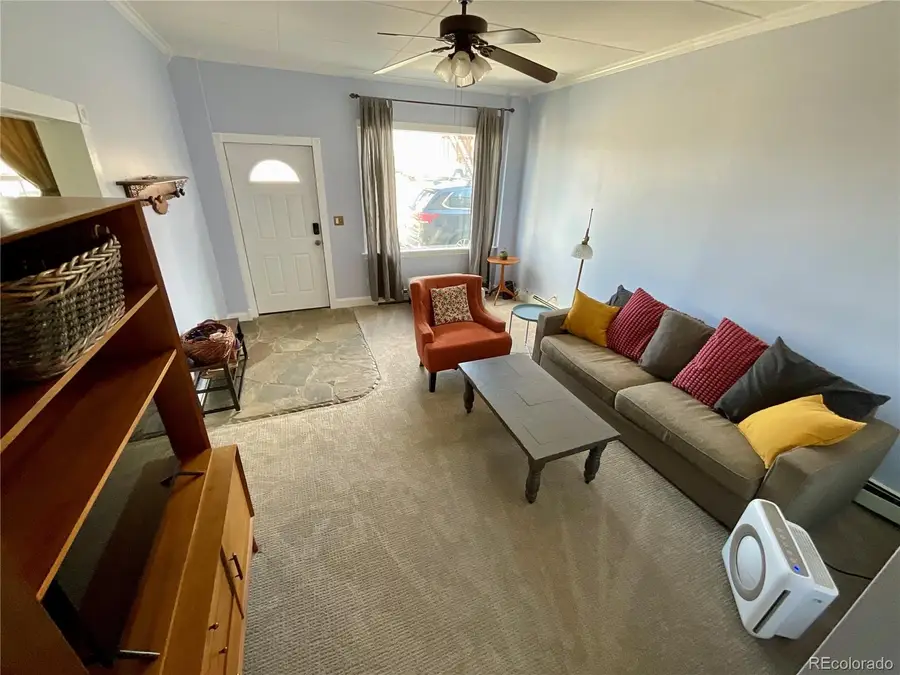 135 Chestnut Street, Leadville, CO 80461 - #3