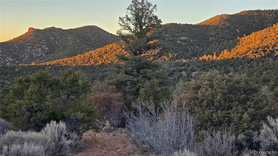 Lot 5106 Redler Road, Fort Garland, CO 81133 - Image #2