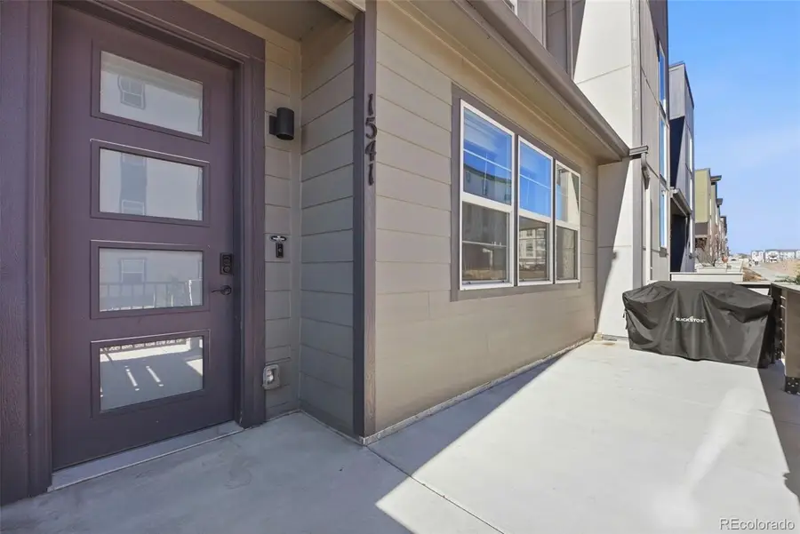 1541 Rose Quartz Heights, Colorado Springs, CO 80908 - #3