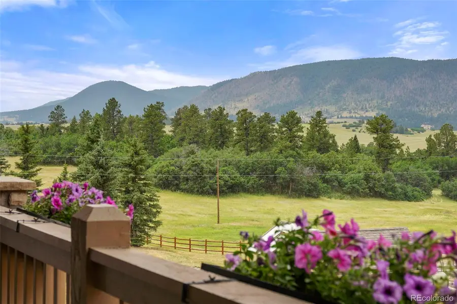 9610 S Perry Park Road, Larkspur, CO 80118 - #3