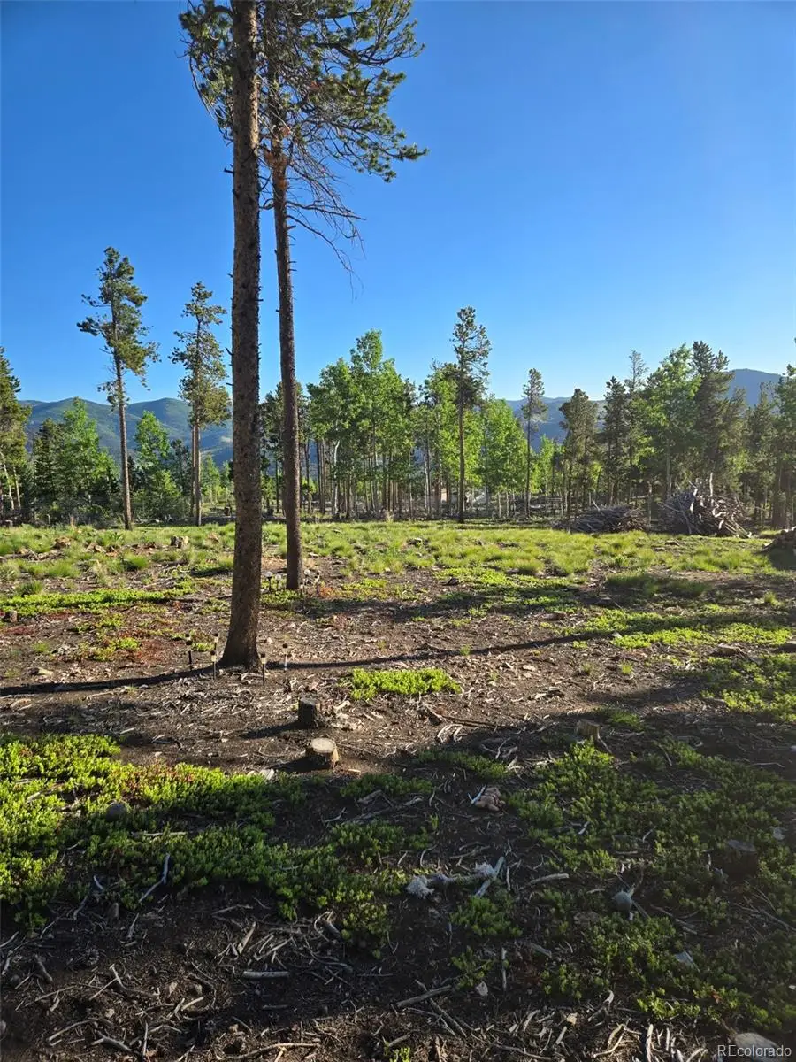 000 Frank C, Idaho Springs, CO 80452 - #1