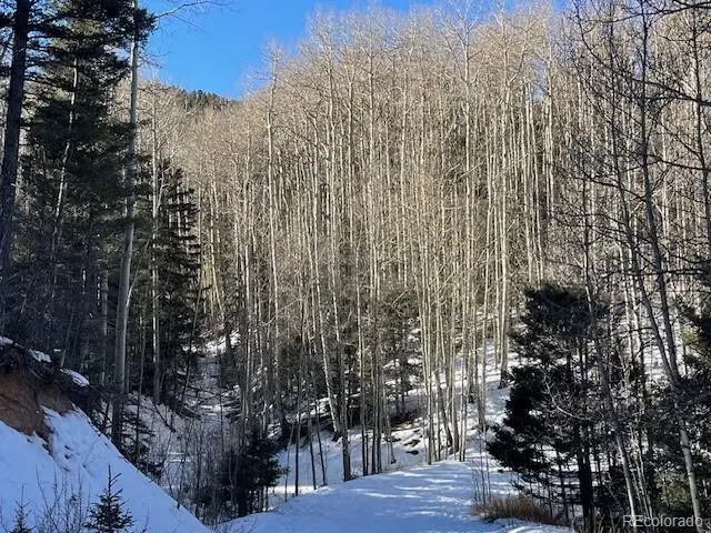 Lot 5252 Scott Road, Fort Garland, CO 81133 - #1