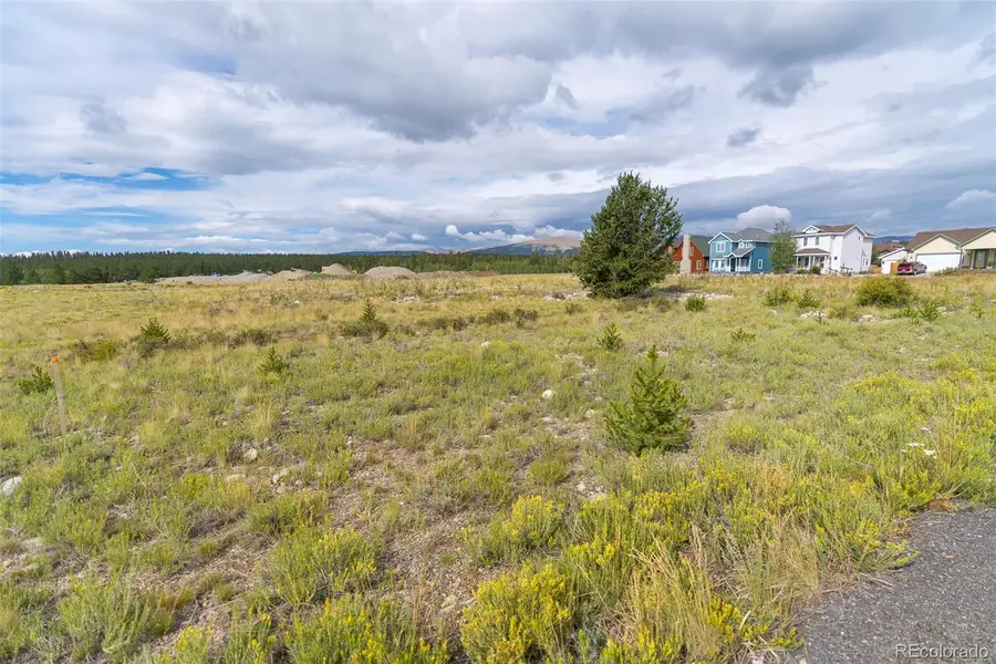 Lot 4 Platte Drive, Fairplay, CO 80440 - #2
