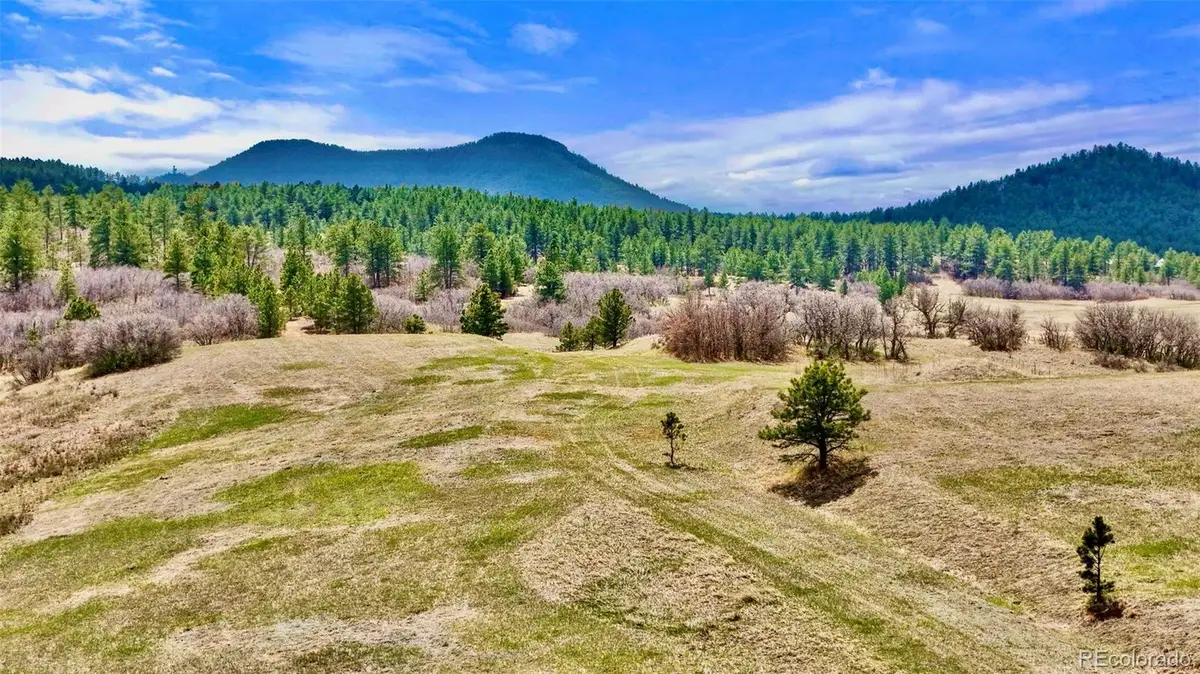 2 S Perry Park Road, Larkspur, CO 80118 - Image #1