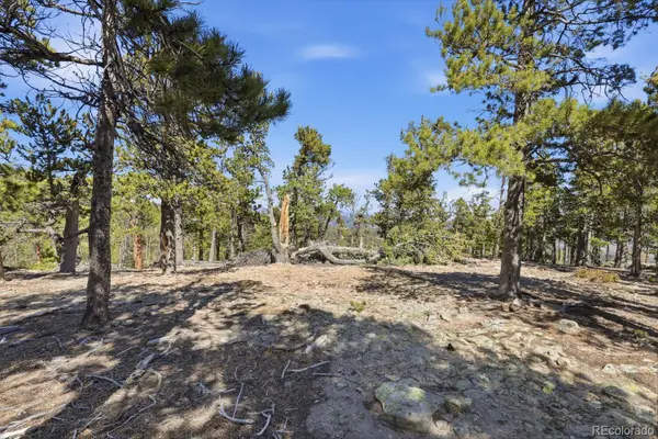 33149 Janelle Circle, Golden, CO 80403