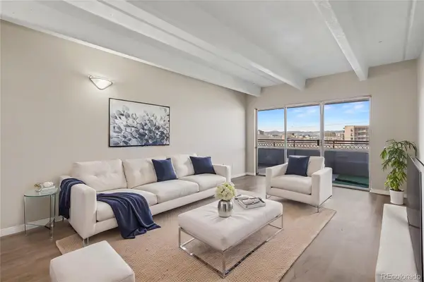 1441 N Humboldt Street #507, Denver, CO 80218