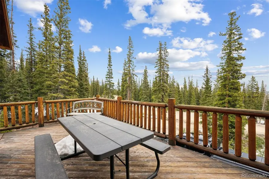 585 Miners Way, Fairplay, CO 80440 - #3