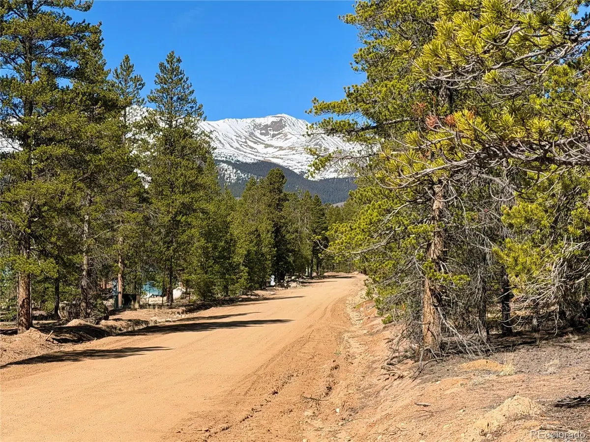 341 Aspen Drive, Leadville, CO 80461 - #1