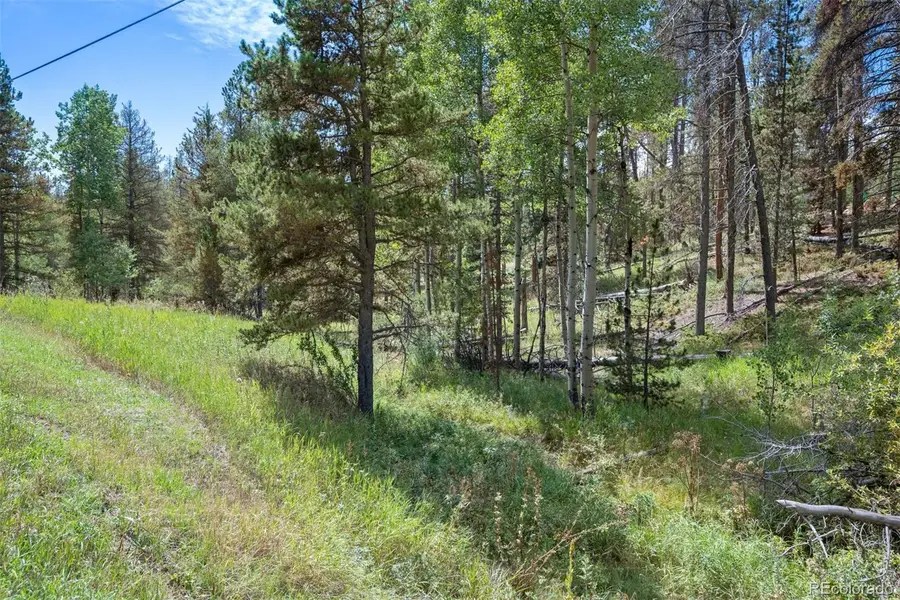 000 Lot 3 Indian Springs, Ken Caryl, CO 80123 - #3