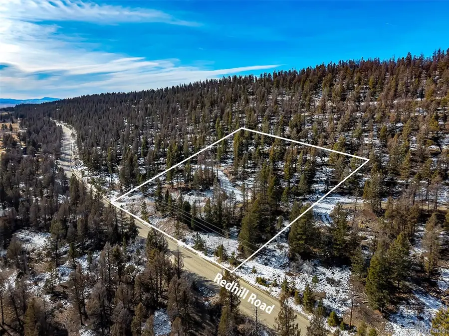 1423 Redhill Road, Fairplay, CO 80440 - #3
