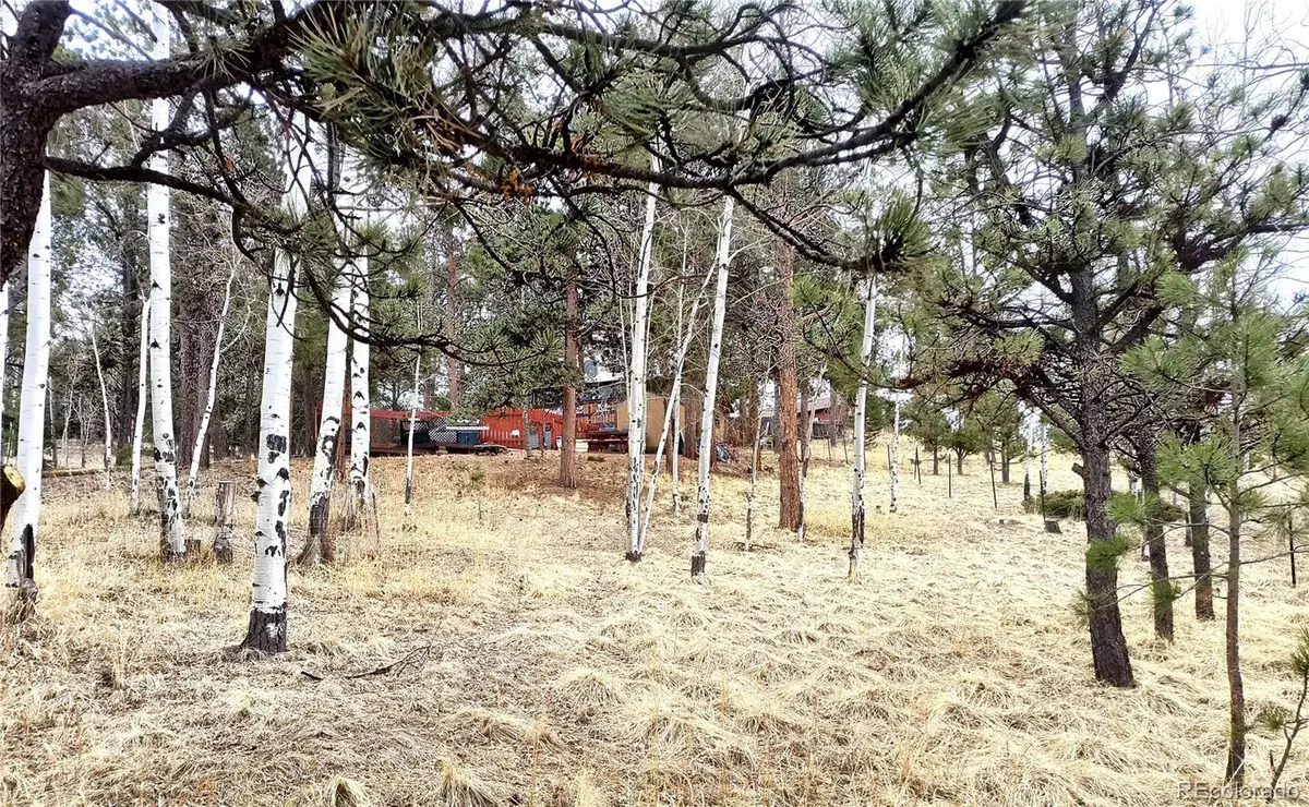 103 Adair Circle, Florissant, CO 80816 - Image #1