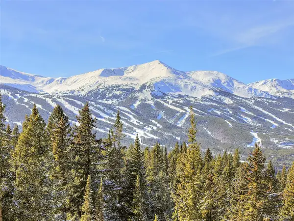 3362 Boreas Pass Road, Breckenridge, CO 80424
