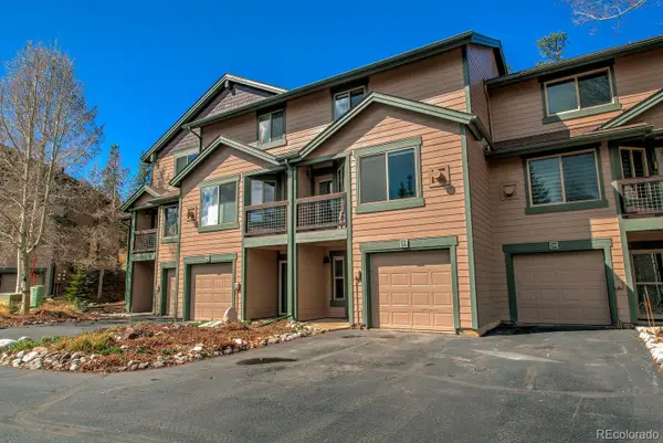 293 Kestrel Lane, Silverthorne, CO 80498