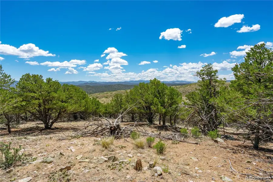 896 Shannon Trail, Cotopaxi, CO 81223 - #2