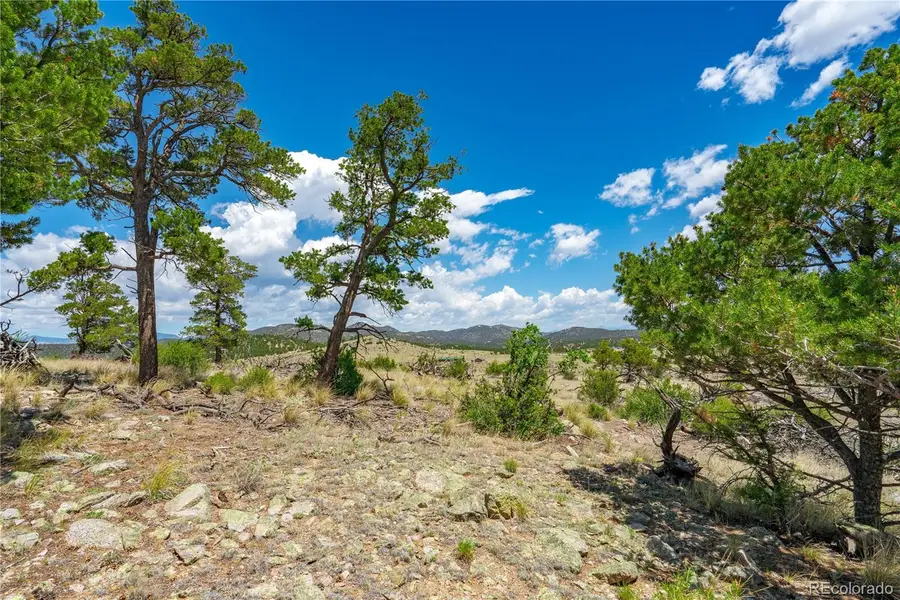 896 Shannon Trail, Cotopaxi, CO 81223 - #3