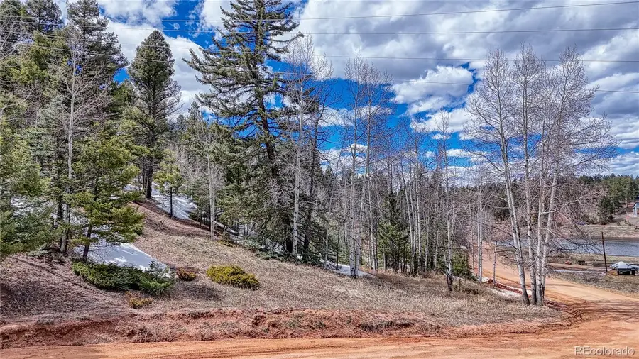 244 Spring Valley Lane, Florissant, CO 80816 - Image #3