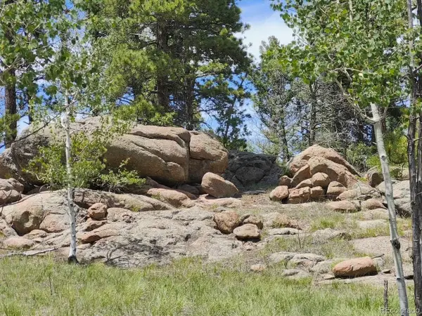 501 Cr-403, Florissant, CO 80816