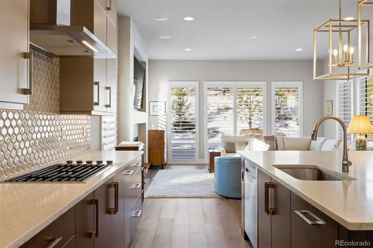 1173 Lost Elk Circle, Castle Rock, CO 80108 - #1