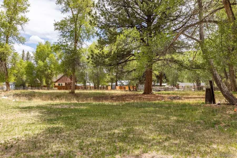 N Sangre De Cristo Avenue, Buena Vista, CO 81211 - #2