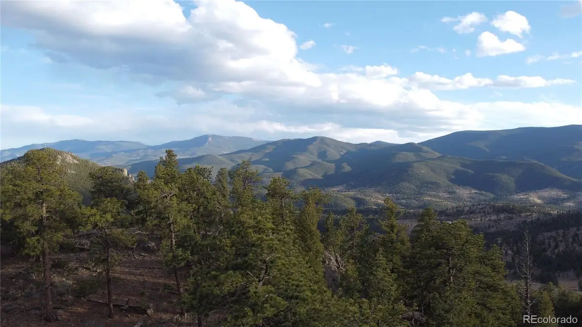 Delwood Drive, Bailey, CO 80421 - #1