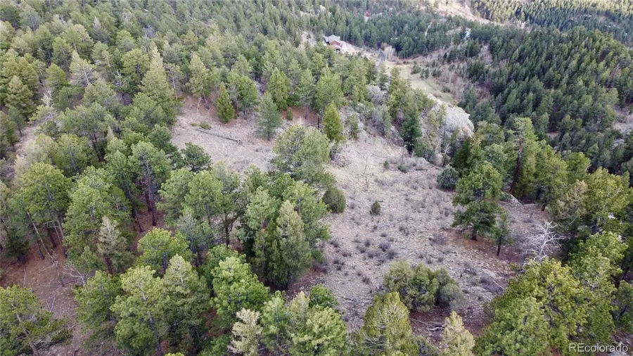 Delwood Drive, Bailey, CO 80421 - #3