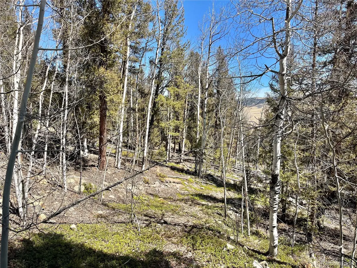 2834 Middle Fork Vista, Fairplay, CO 80440 - Image #1
