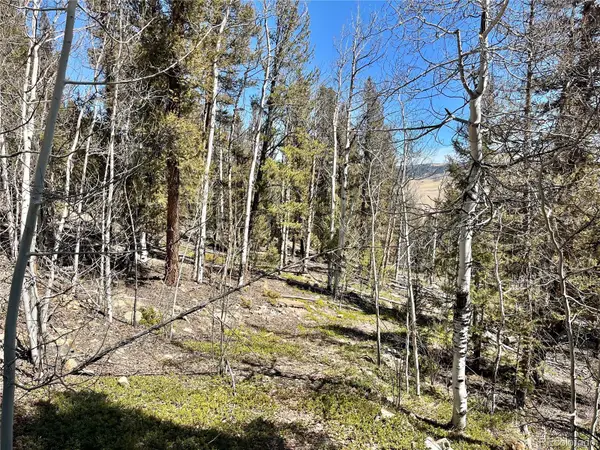 2834 Middle Fork Vista, Fairplay, CO 80440