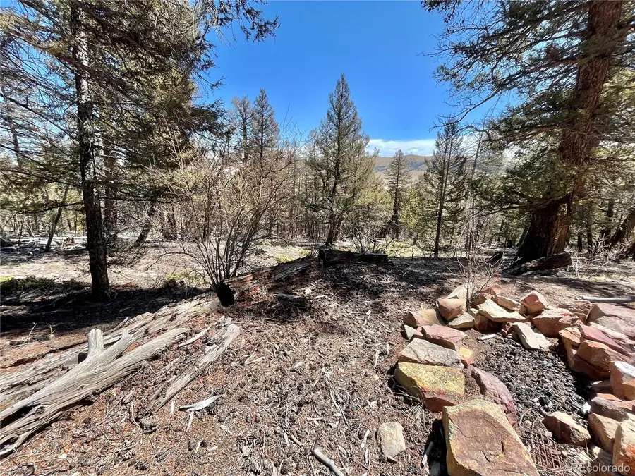 2834 Middle Fork Vista, Fairplay, CO 80440 - Image #2