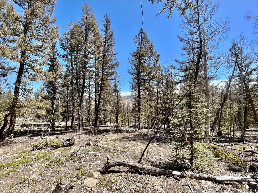 2834 Middle Fork Vista, Fairplay, CO 80440 - Image #3
