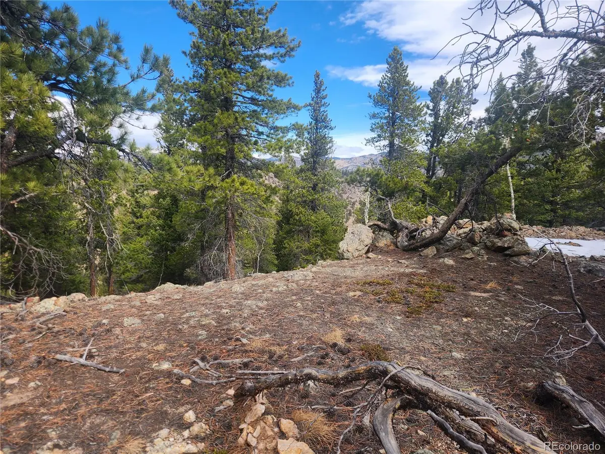Vacant Land on Fools Gold Road, Idaho Springs, CO 80452 - #1