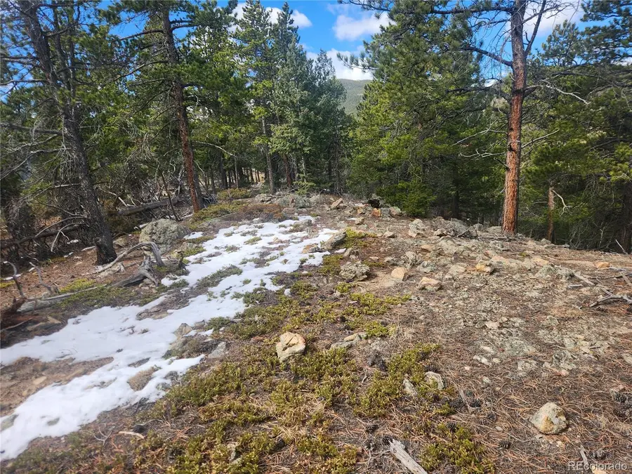 Vacant Land on Fools Gold Road, Idaho Springs, CO 80452 - #2