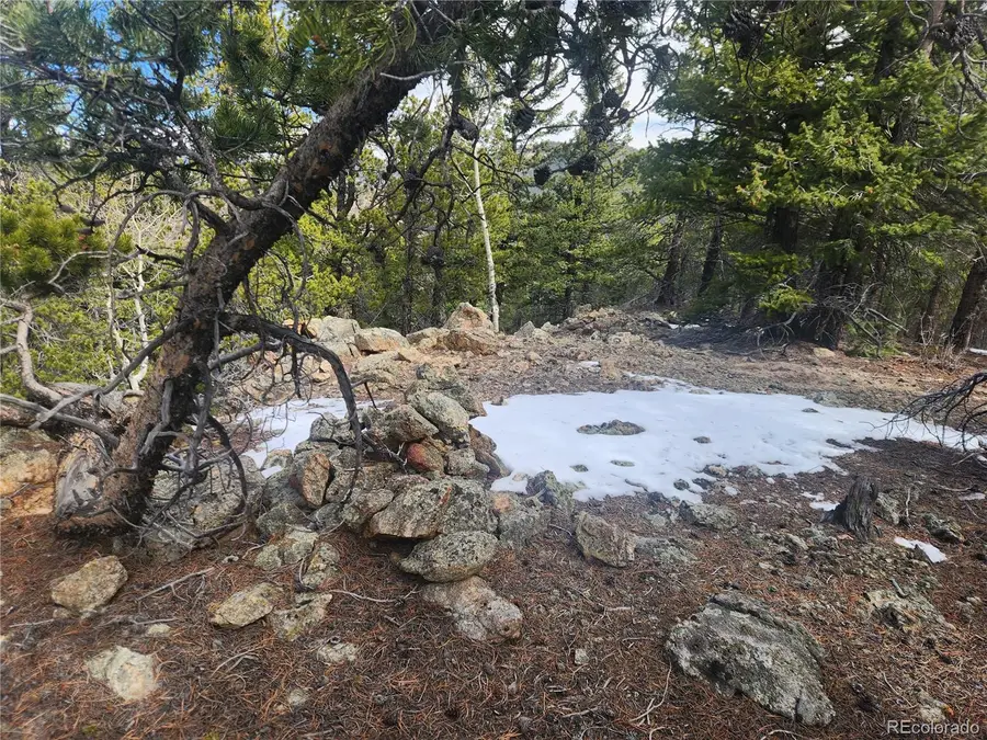 Vacant Land on Fools Gold Road, Idaho Springs, CO 80452 - #3