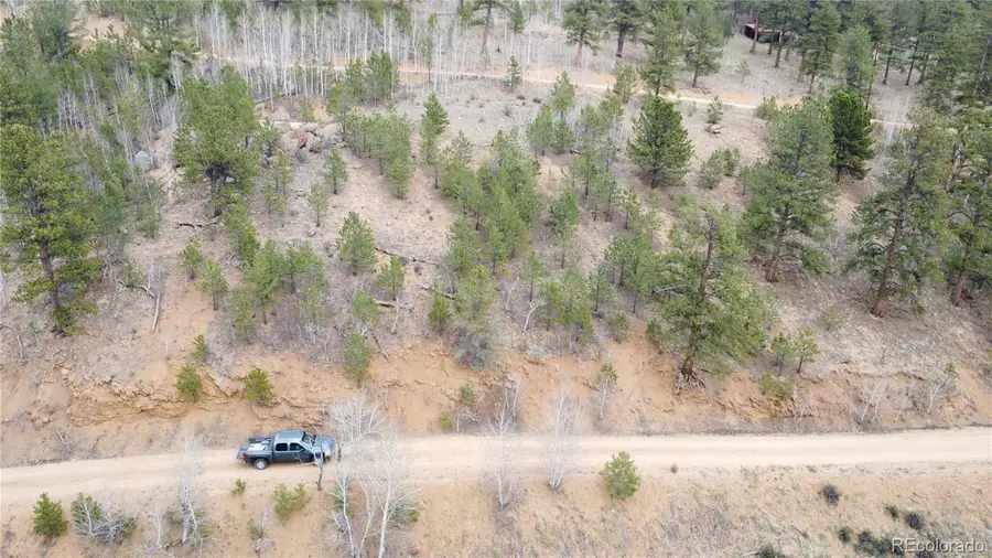 312 Marian Street, Bailey, CO 80421 - #3