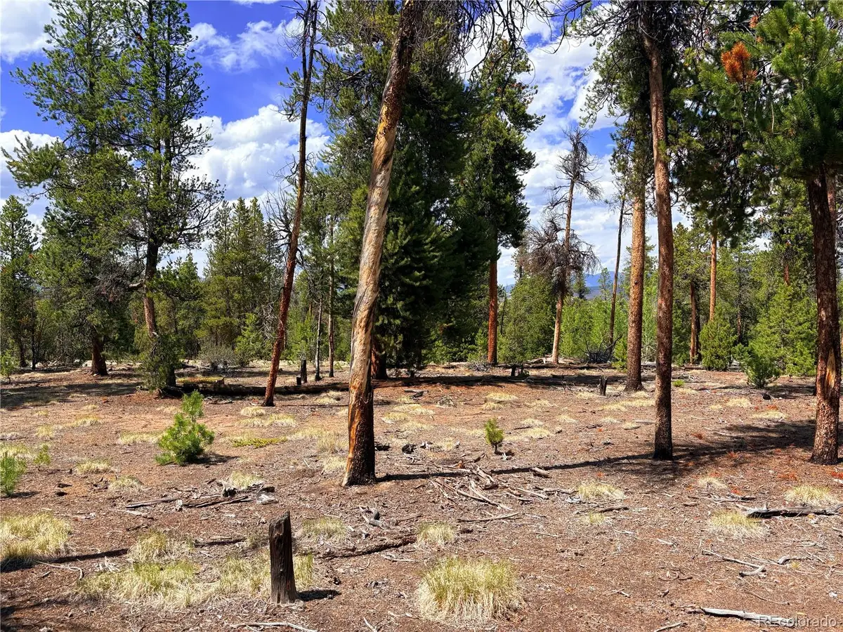 360 Lodgepole Drive, Leadville, CO 80461 - #1