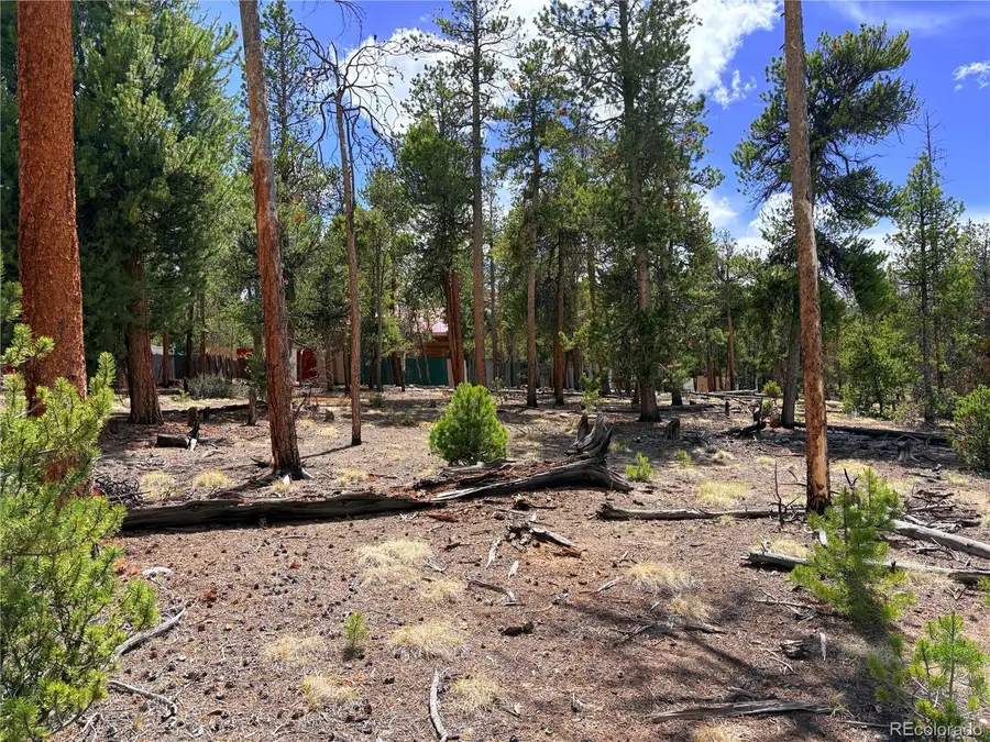 360 Lodgepole Drive, Leadville, CO 80461 - #3