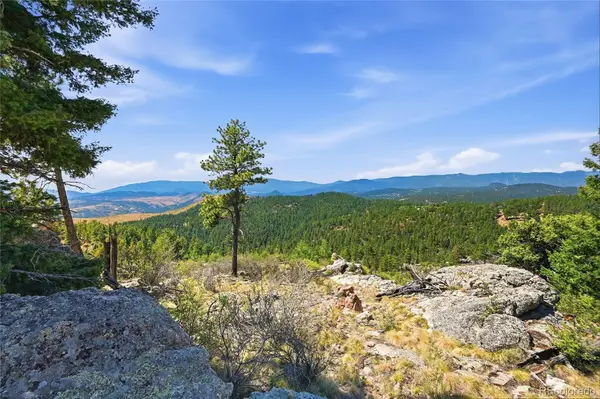 33550 Mount Wilson Road, Pine, CO 80470