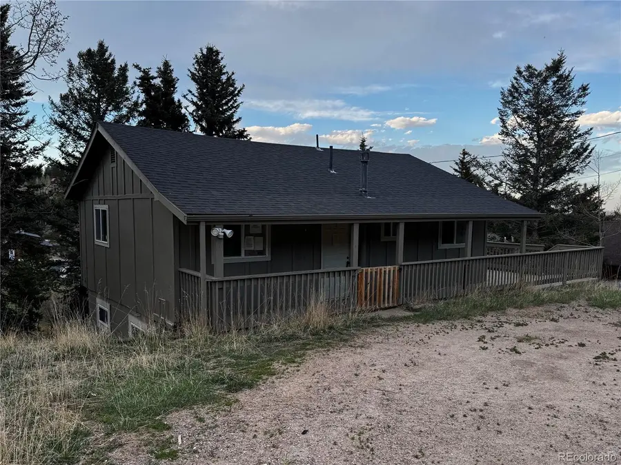 949 S Pine Drive, Bailey, CO 80421 - #2