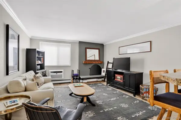 1125 N Washington Street #206, Denver, CO 80203