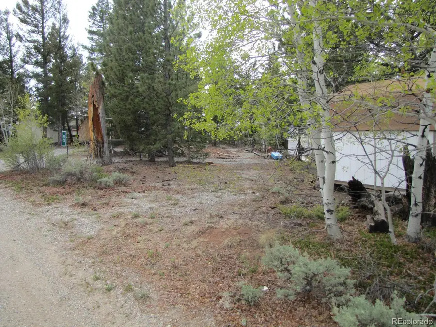 60 Rail Way, Hartsel, CO 80449 - #3