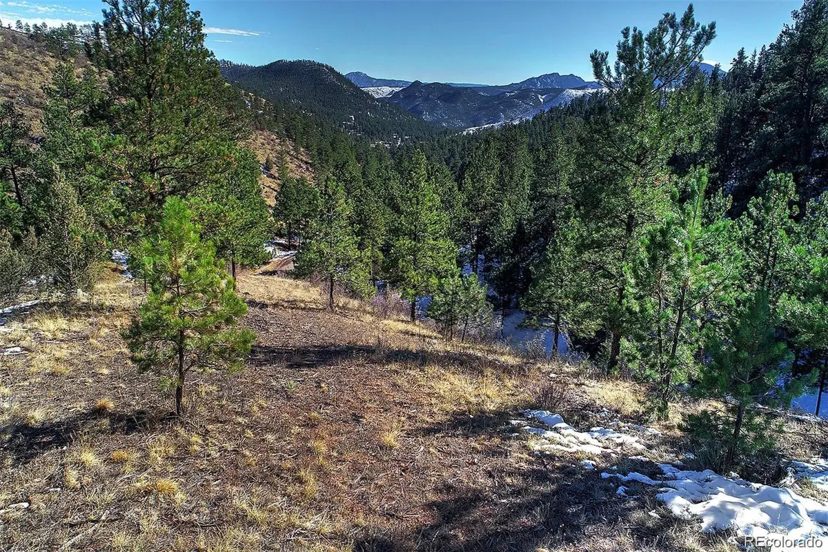 6 Turret Peak Trail, Pine, CO 80470 - #1